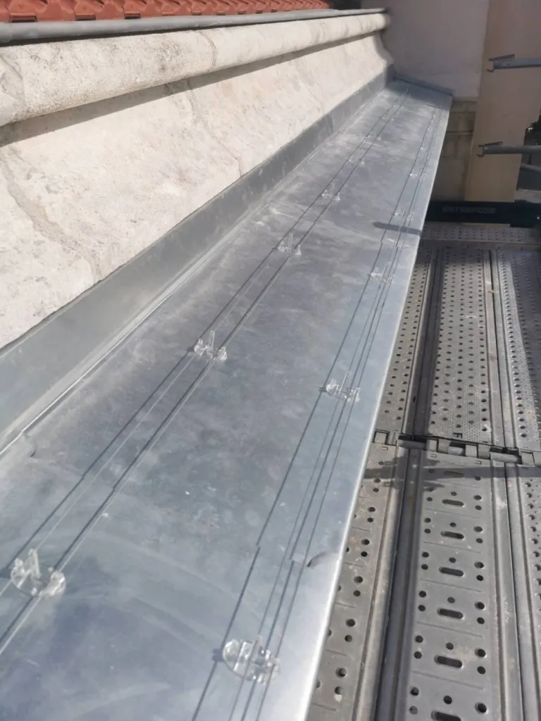 tiges electrique pour pigeon à monaco 98000