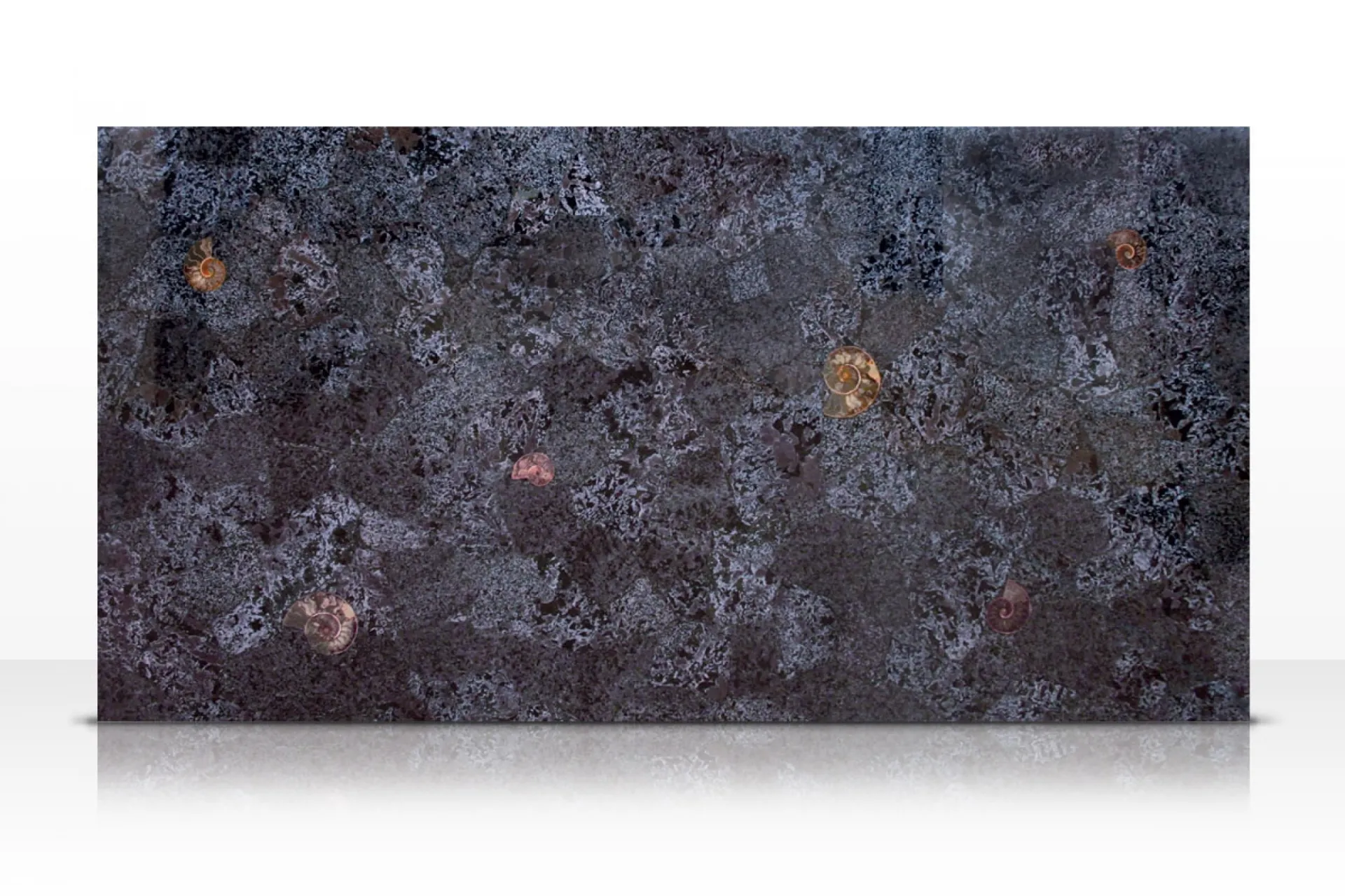 Tranche Purple Graphic