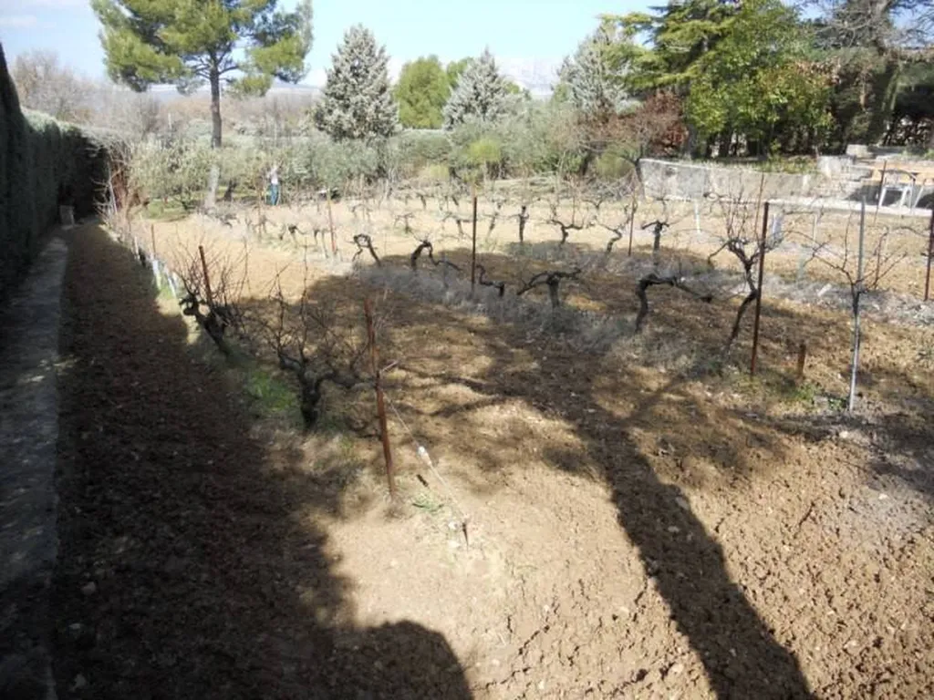 Motobinage d'une parcelle de vigne par paysagiste Aix en Provence Rouvier Romain.