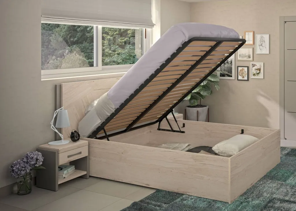 Trouver un lit double avec fonctionnel avec rangements intégrés à Lyon 4