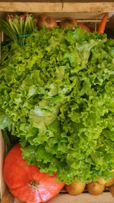 Panier XXL
