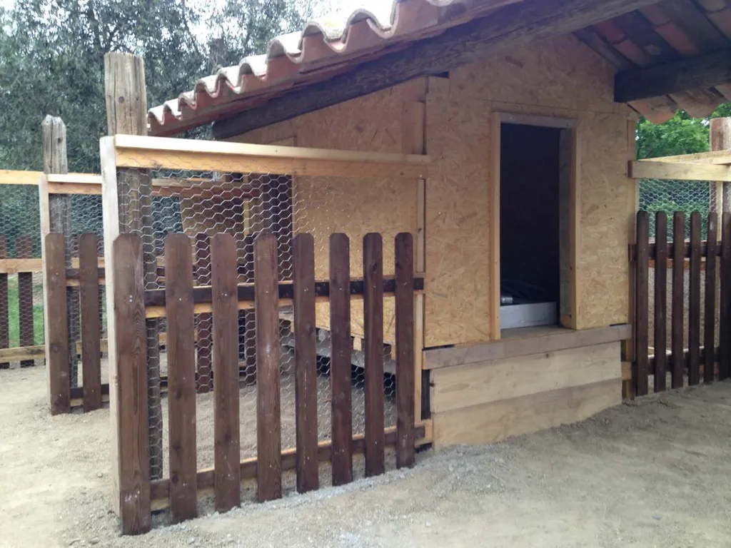 Réalisation d'un poulailler à Salon de Provence (13300)