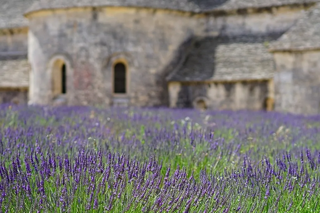 PROVENCE / CÔTE D’AZUR