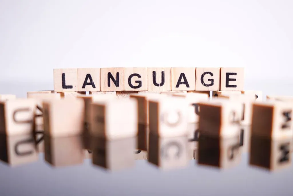 Nos prestations sur le secteur deVitrolles et les Bouches-du-Rhône