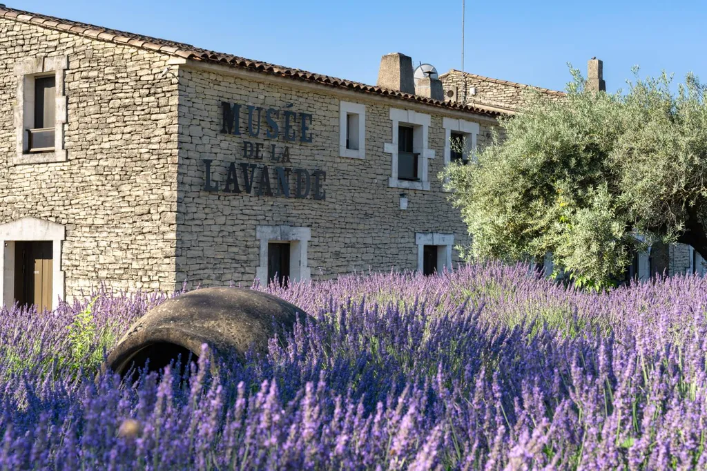 The Luberon Lavender Museum in Cabrières-D'Avignon, a place where Provençal tradition is kept alive