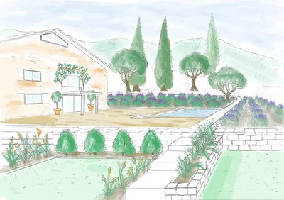 Dessin pour conception de jardin à Nice