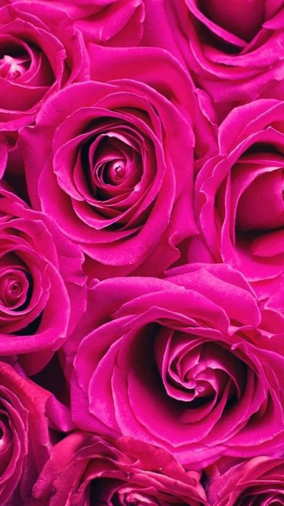 Flora voyance