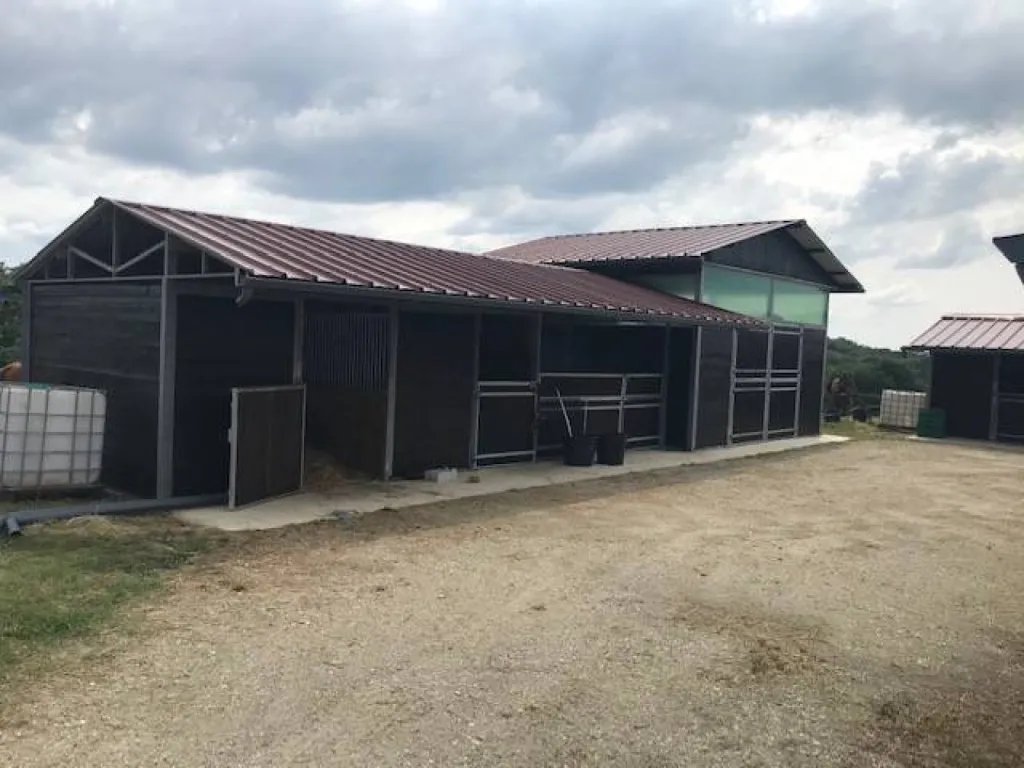 pension pré pour chevaux à créon 