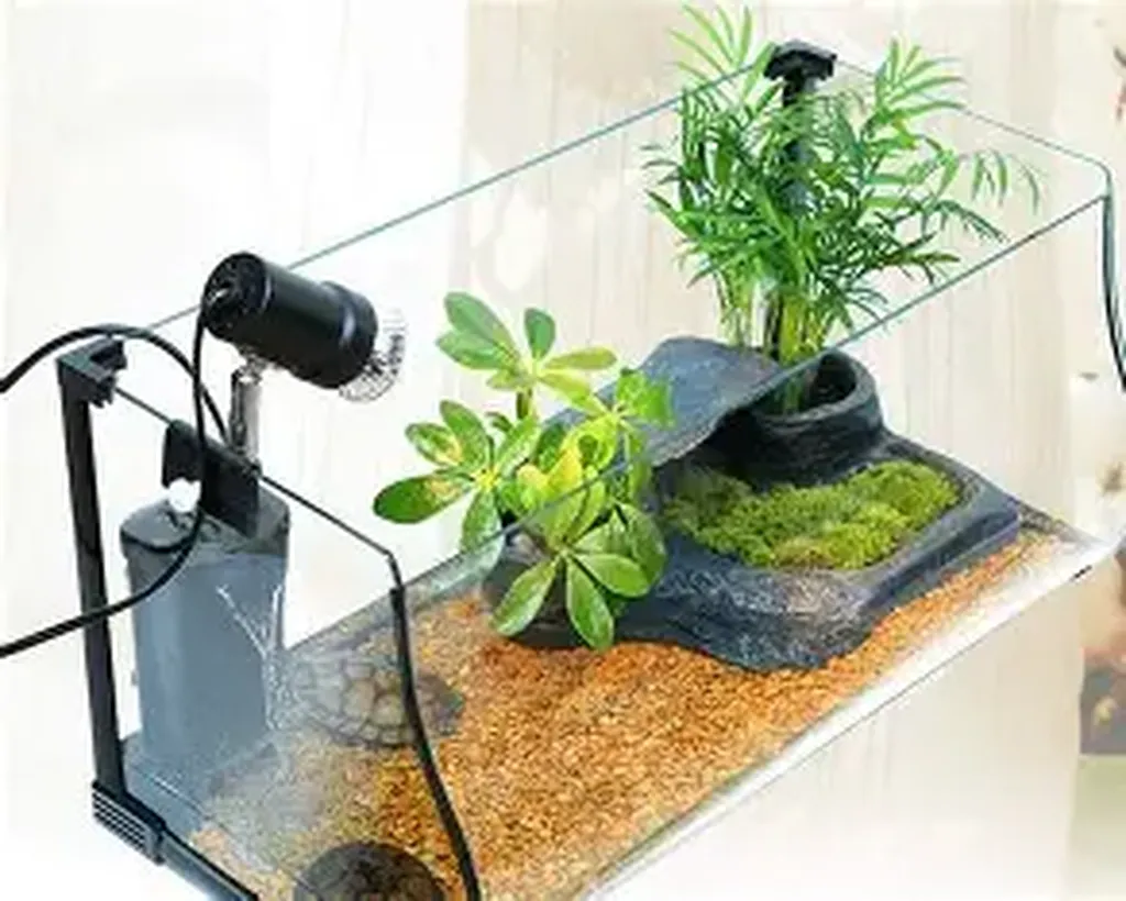 terrarium pour tortue marseille
