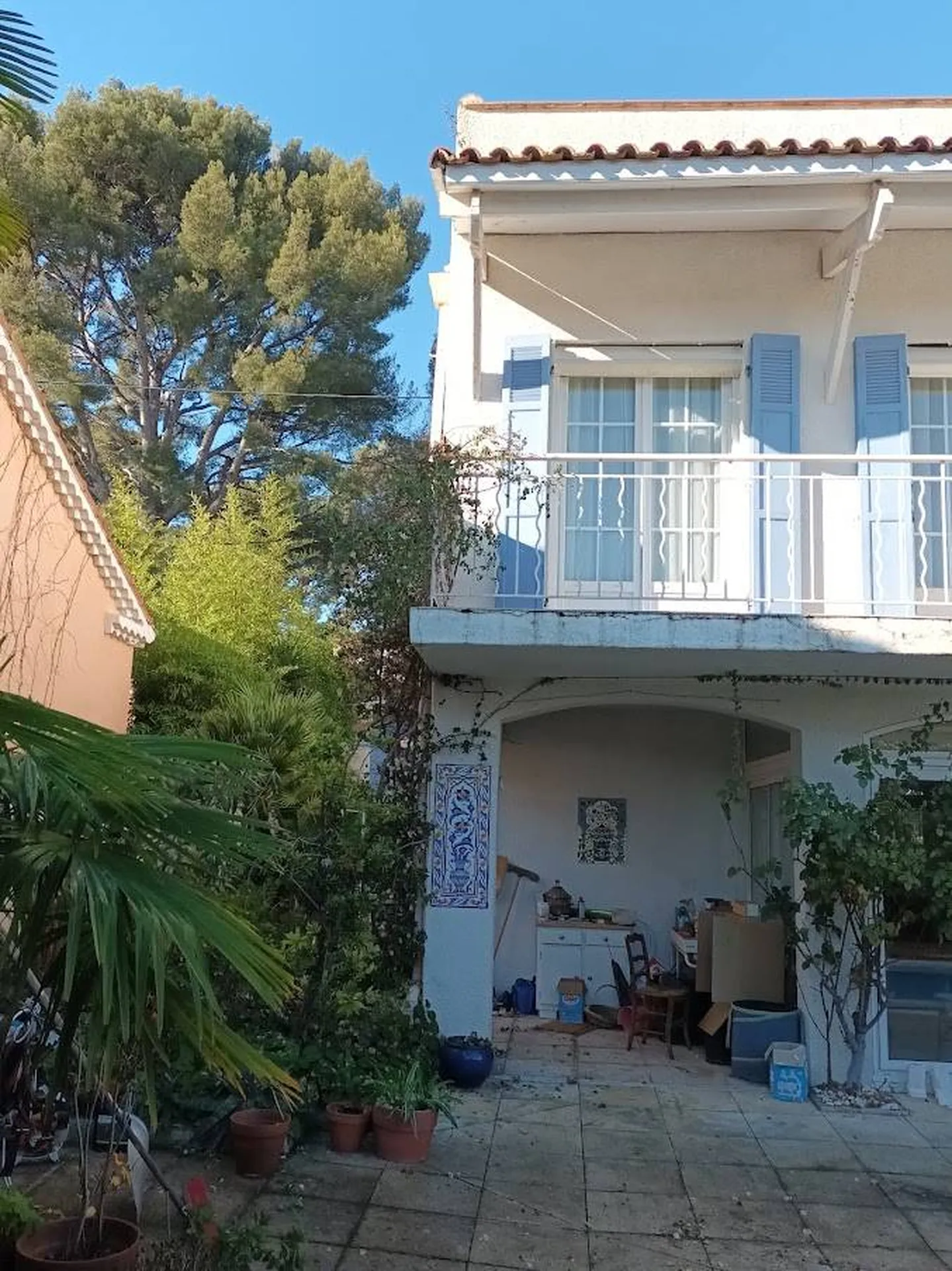 Taille d'un  Bougainvillier sur la commune de la Ciotat