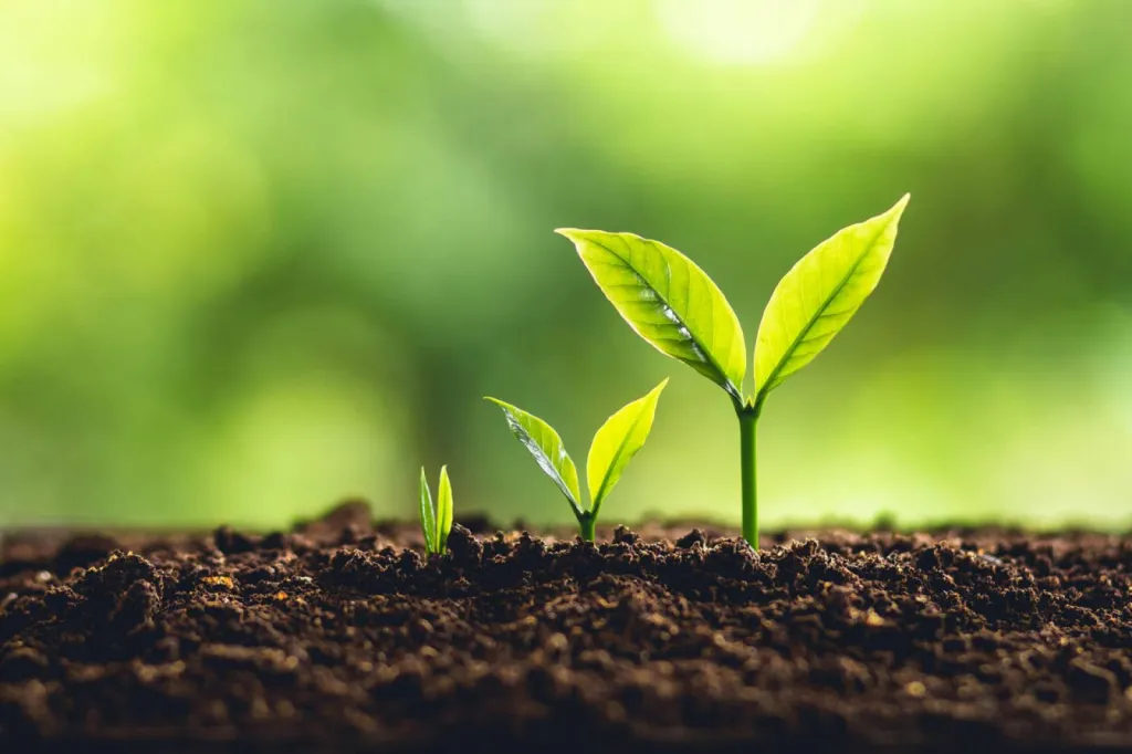 QUALITÉ & ENVIRONNEMENT, SOYONS RESPONSABLES !
