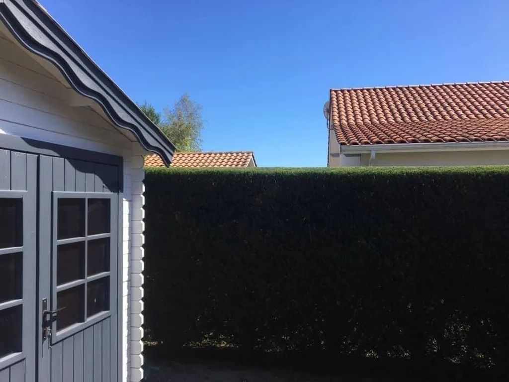 Quel paysagiste choisir pour effectuer une taille de haie de cyprès à Mimizan