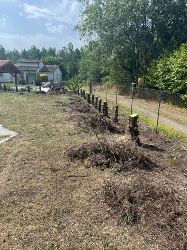 Transformation de votre espace extérieur verdoyant avec Evolution Paysage à Mézos dans les Landes et en Gironde