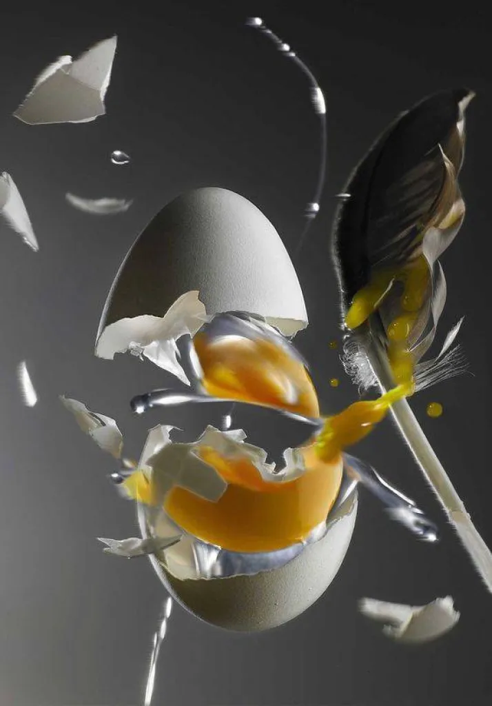 Acheter un four vapeur haut de gamme près de Bandol dans le Var