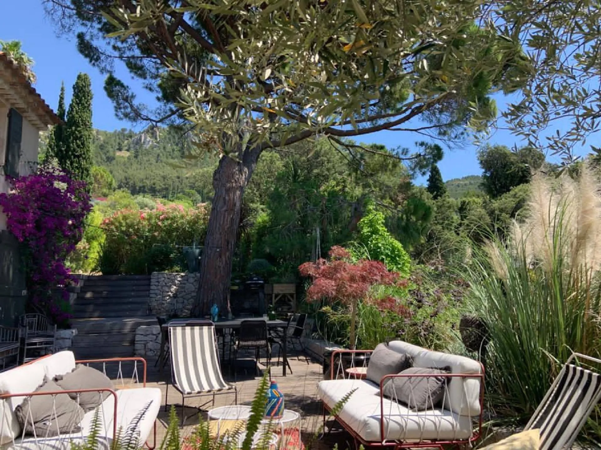 Jardin d'extérieur cassis bâtisse  a vendre