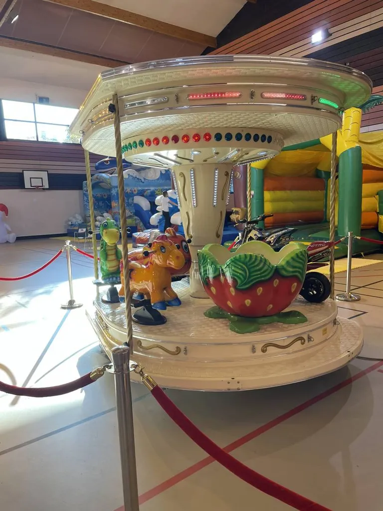 LOCATION MANEGE CARROUSEL LYON