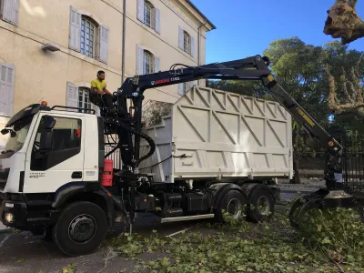 élaguer des arbres de plus de 15 mètres à Avignon