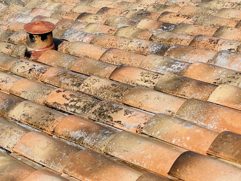 Nettoyage et traitement de tuiles mécaniques Abeilles sur Bouc Bel Air près de Aix en Provence 