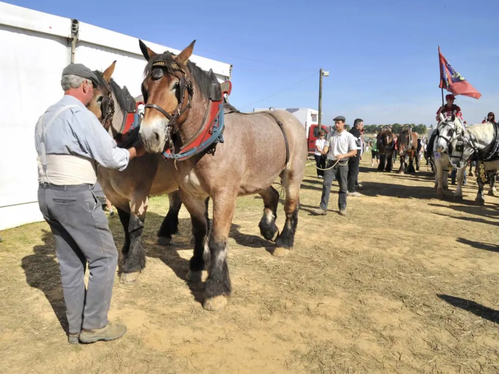 Photographe institutionnel pour reportage d’événement de collectivité à Lyon et en région Auvergne Rhône-Alpes
