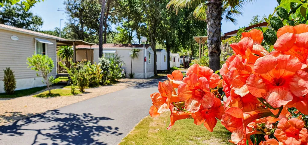 Camping Le Mas de la Plage à Vias-Plage dans l'Hérault