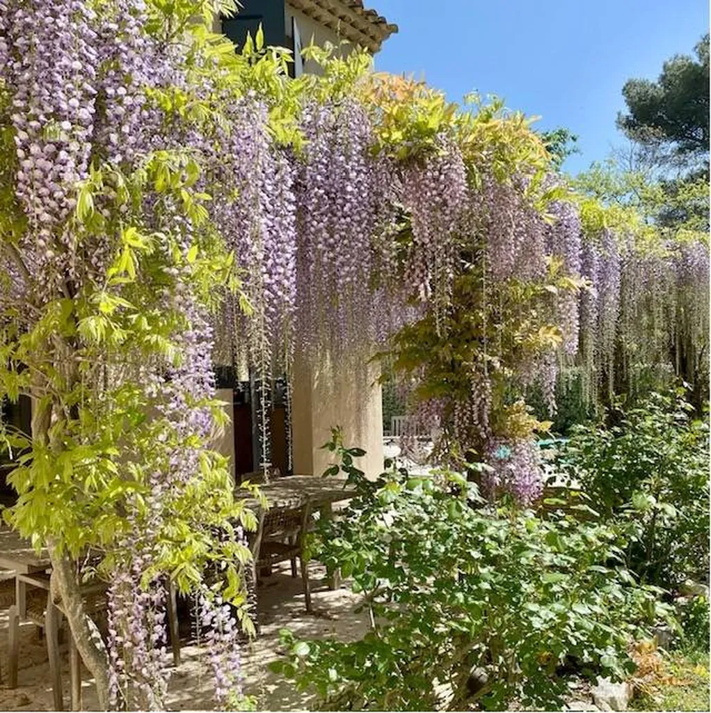 Maintaining your garden in Luberon