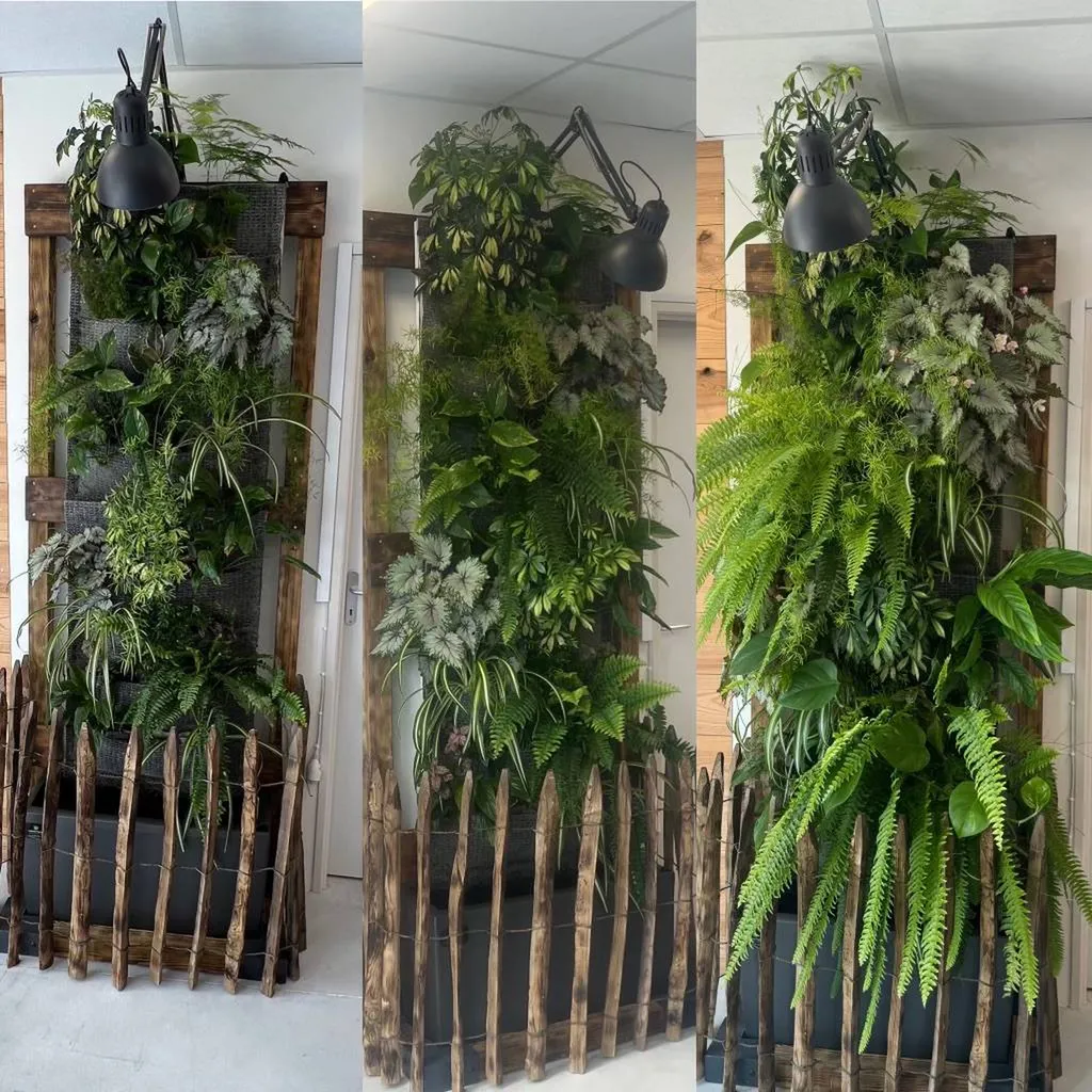 Décoration en mur végétalisé d'intérieur pour votre showroom près de Labouheyre