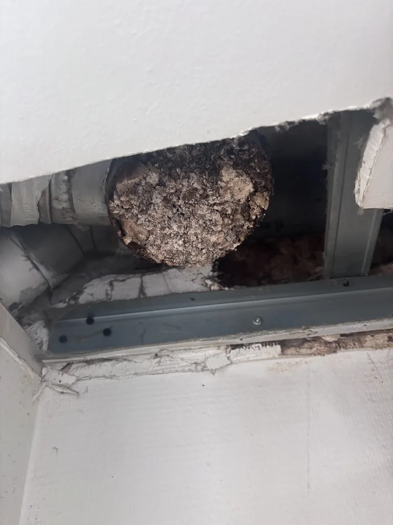 Intervention en urgence sur une chaudière gaz ELM Leblanc en panne à Clichy-sous-Bois

