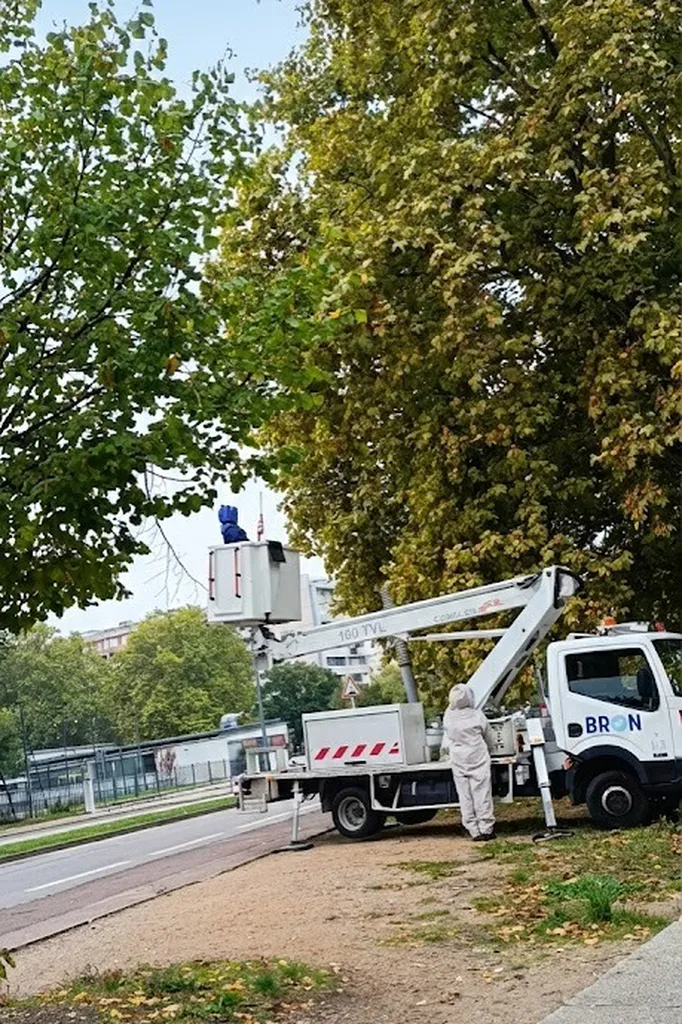 Faire appel à un professionnel pour retirer un nid de guêpes dans un arbre en bord de route près d'un parc à Villeurbanne