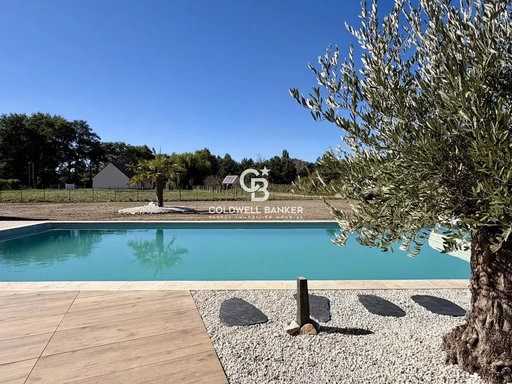 Piscine de 13,20 × 6,20 m bordée d'un olivier et d'un palmier, avec vue dégagée sur la campagne sarthoise
