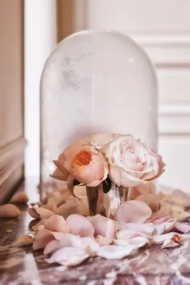 Exclusive Paris wedding planner service