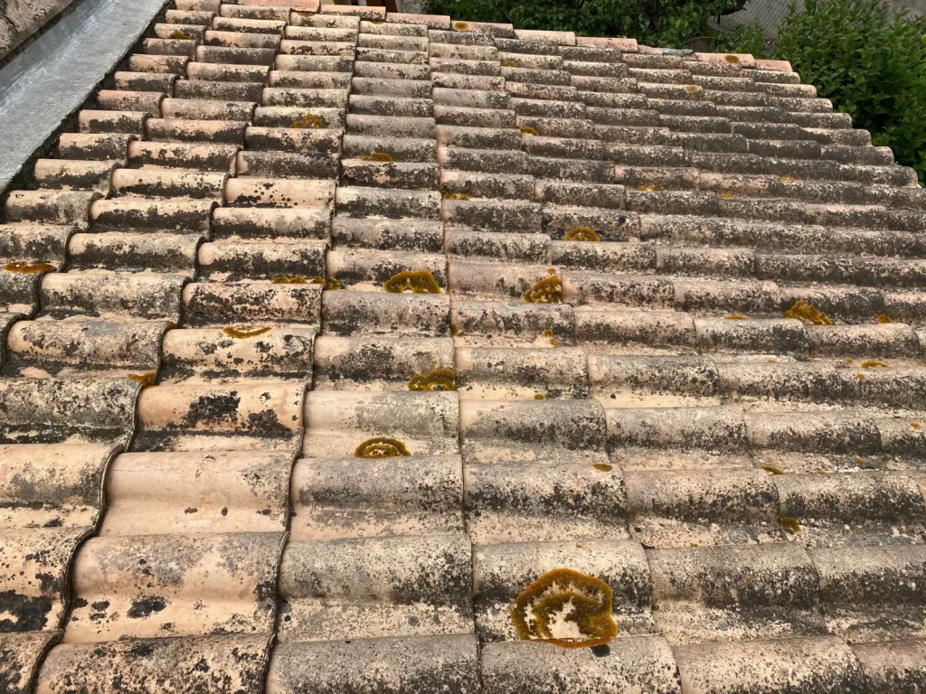 toiture avec mousse sur gardanne