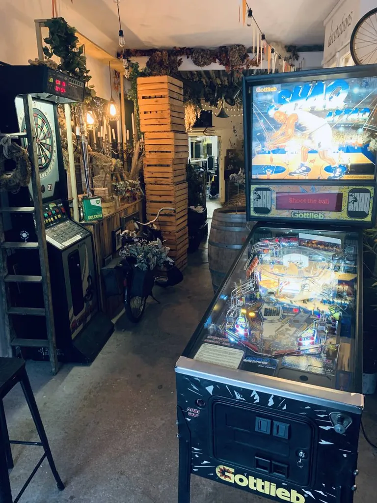 Location jeu de flipper au Havre