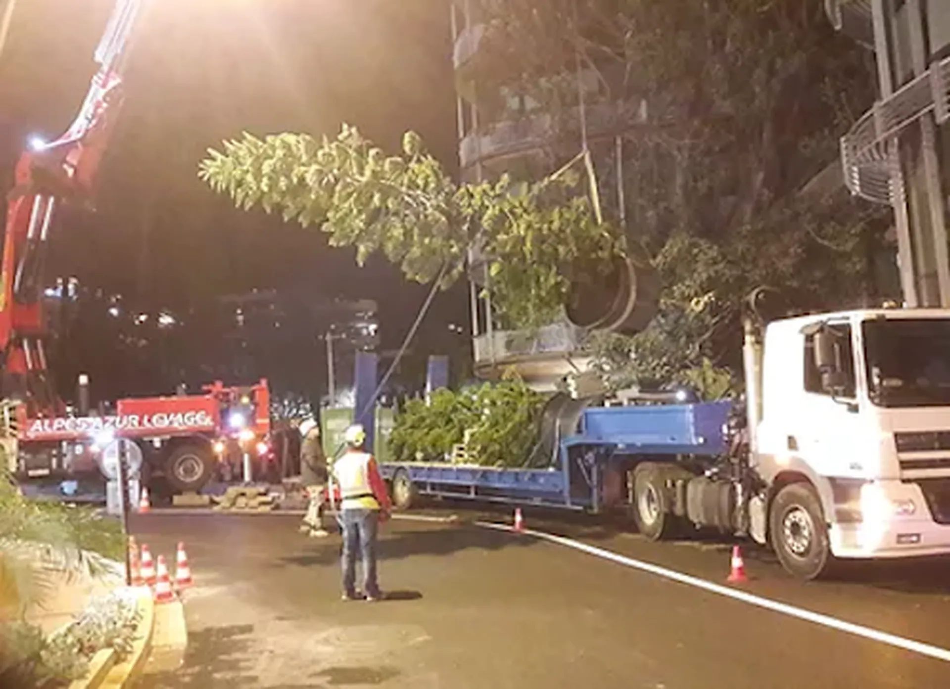 Jardin du One Monte Carlo, à Monaco