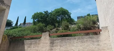 Tailles à la cisaille Carnoux