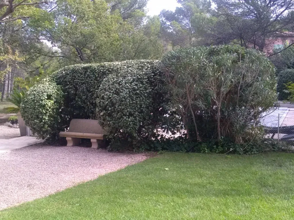 Travaux de taille de haies dans un jardin éligibles au crédit d'impôt à Aix en Provence 13100