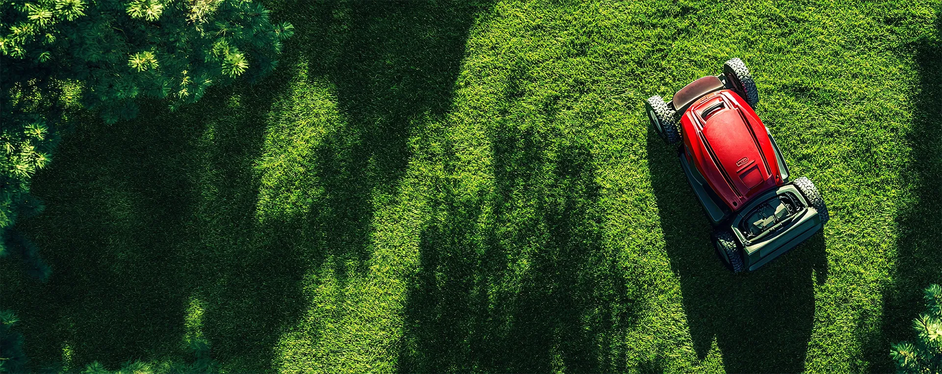 Nous contacter dès maintenant