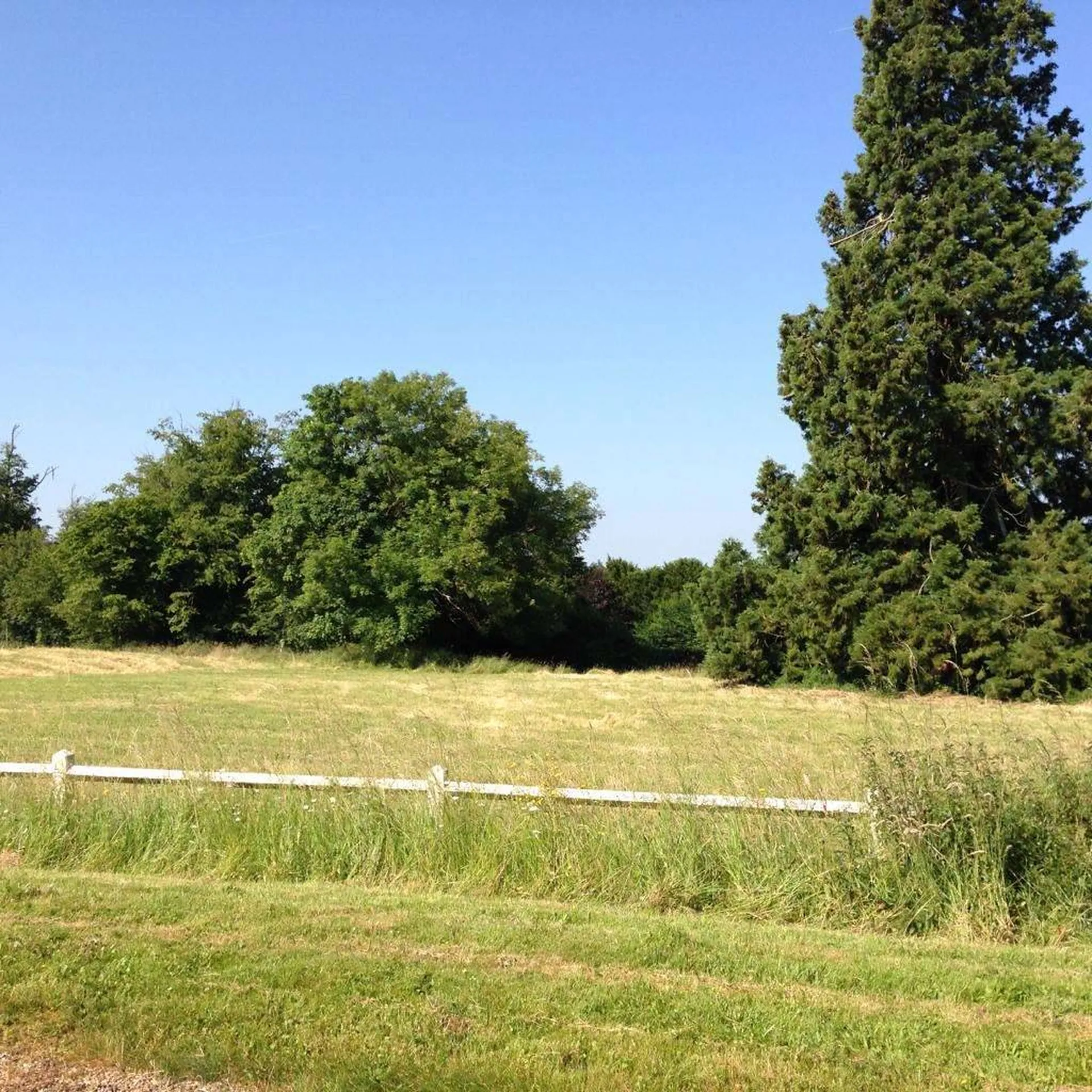 A acquérir, Domaine à vocation équestre et ses installations, installés sur une parcelle de 65 Ha avec herbages et bois, proche dans le Pays d'Auge 14.