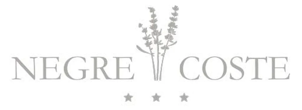 hotel spa aix-en-provence