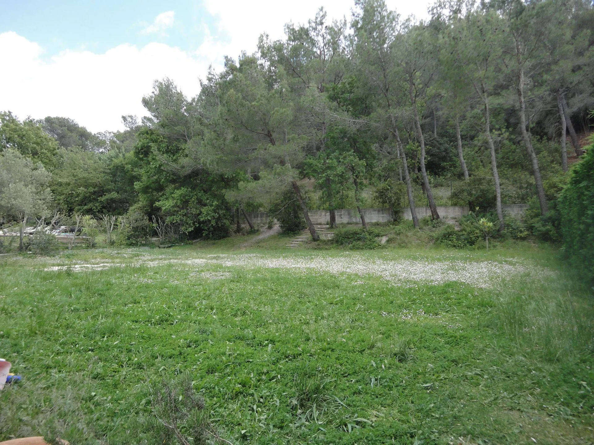 roquefort la bedoule a la vente