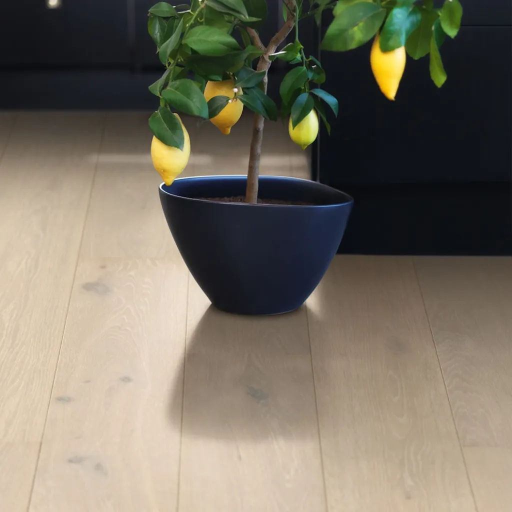 Magasin spécialisé dans la vente de parquet contrecollé pas cher sur le secteur de Rouen 76. 