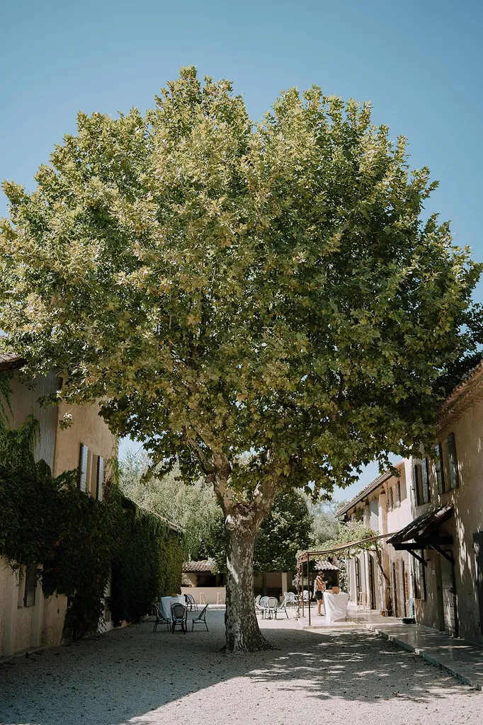 Lieu mariage aix en provence photo Sabri Aydi