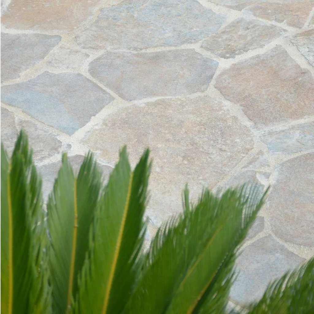 2) OPUS INCERTUM GNEISS