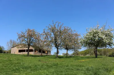 CORPS DE FERME SUR 4 HECTARES A VENDRE REGION LISIEUX, NORMANDIE