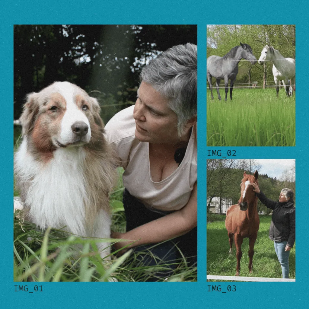 Constellation animale intuitive avec Valérie Guillet à Evreux : une approche complémentaire pour apaiser stress, peurs et troubles du comportement.