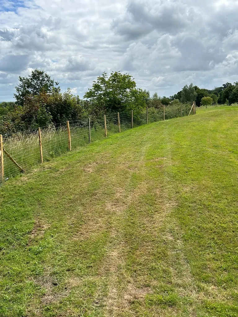 Installation de Clôture Décorative en Rondins de Bois Écorcés et Grillage pour Parcs et Grands Espaces à Elbeuf dans la Seine-Maritime 76