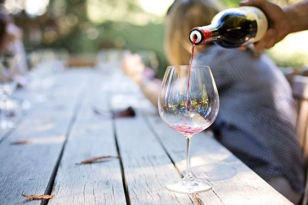 venir déguster du bon vin dans les chateaux de l'entre deux mers en gironde 33