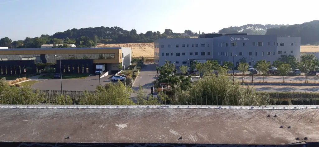 pics pigeons zone les milles 13