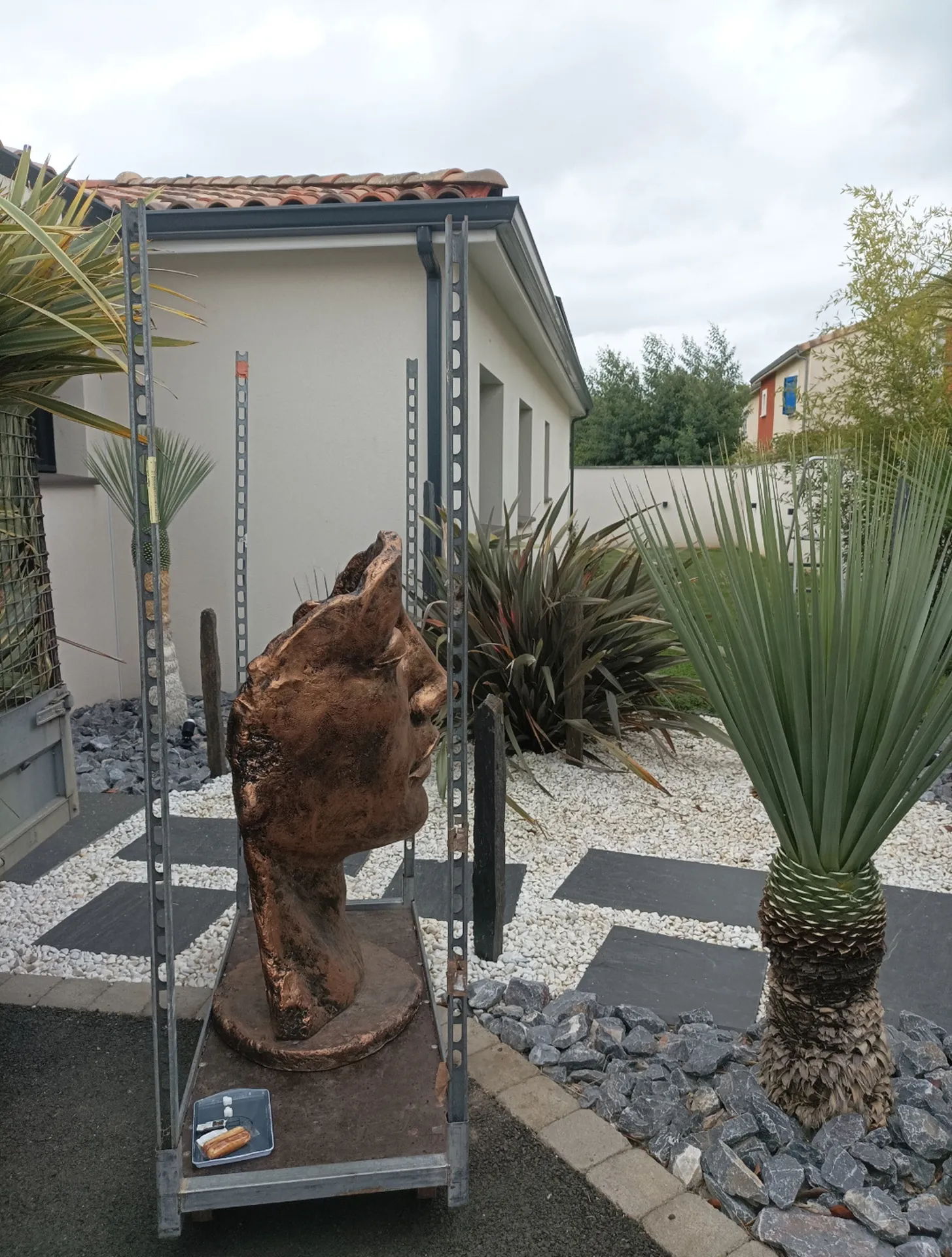 Entretien d'un jardin exotique sur Cugnaux, nettoyage de palmiers, yucca, dracaena...