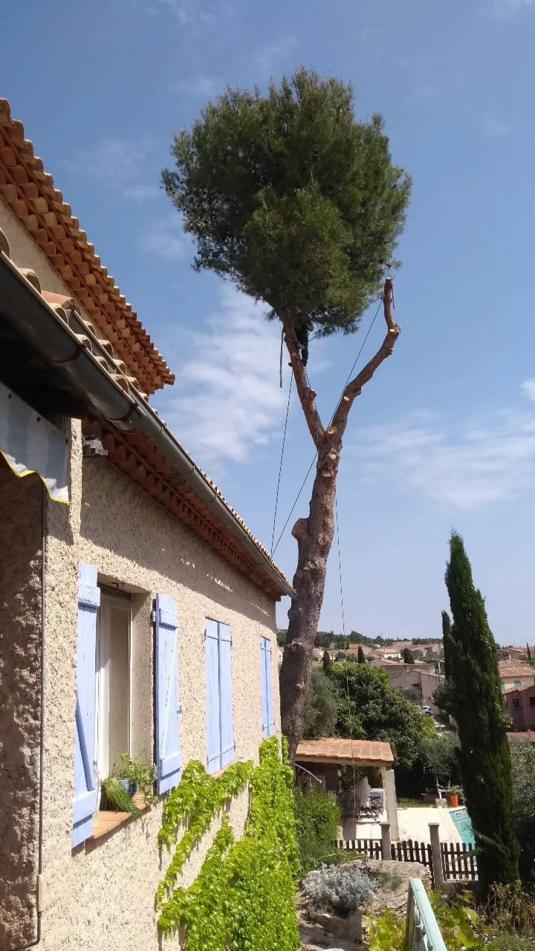 élagage d'arbre à ventabren