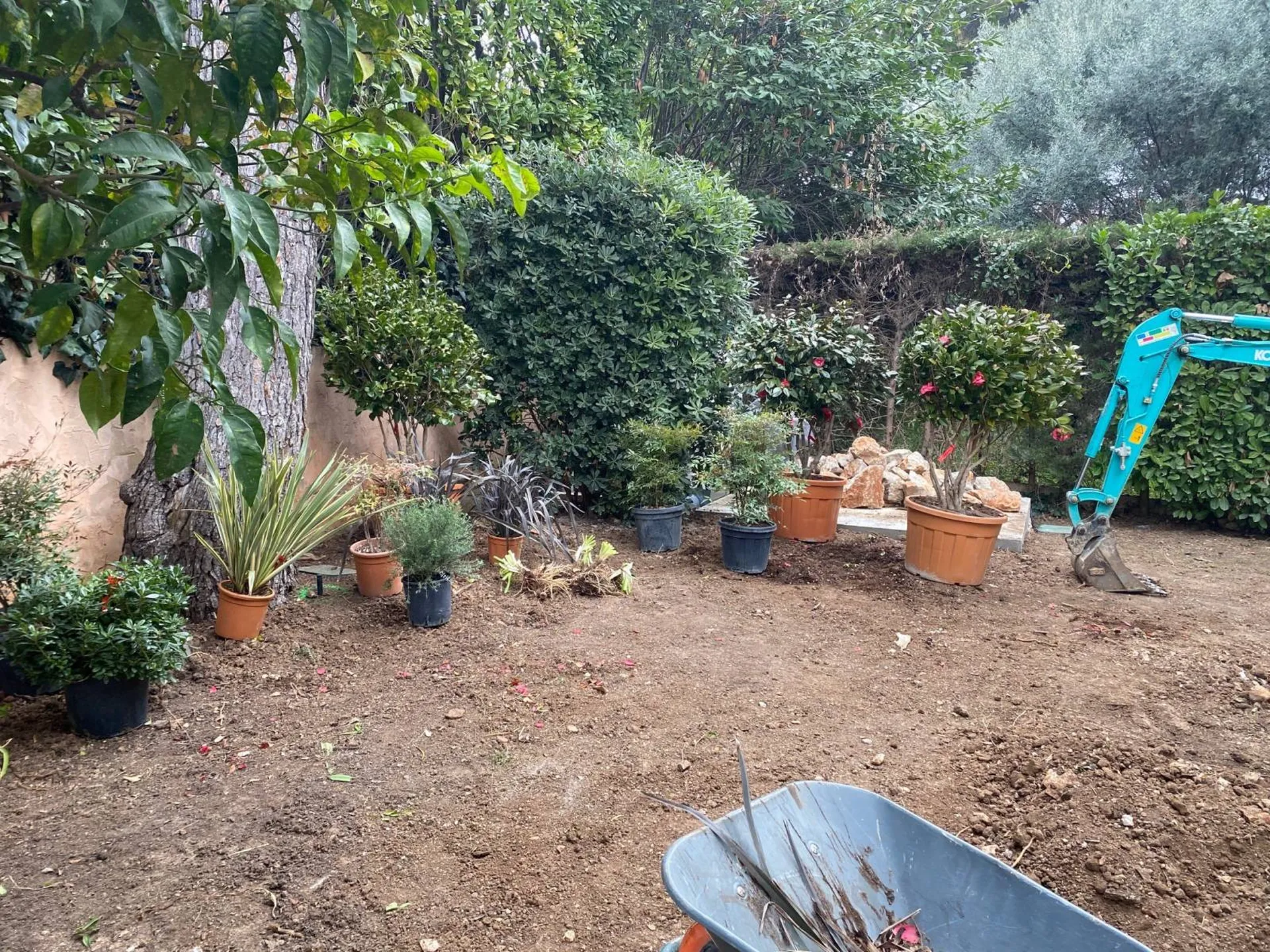 Travaux de plantation à Monaco